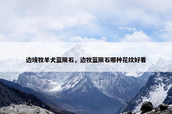 边境牧羊犬蓝陨石，边牧蓝陨石哪种花纹好看