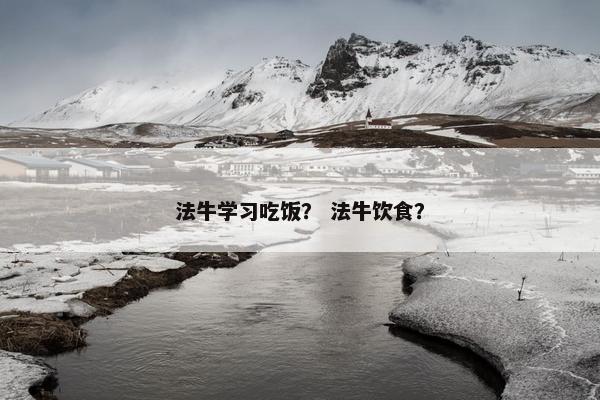 法牛学习吃饭？ 法牛饮食？