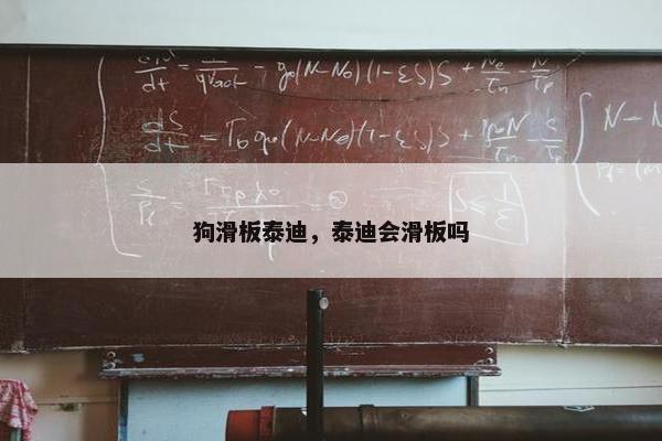 狗滑板泰迪，泰迪会滑板吗