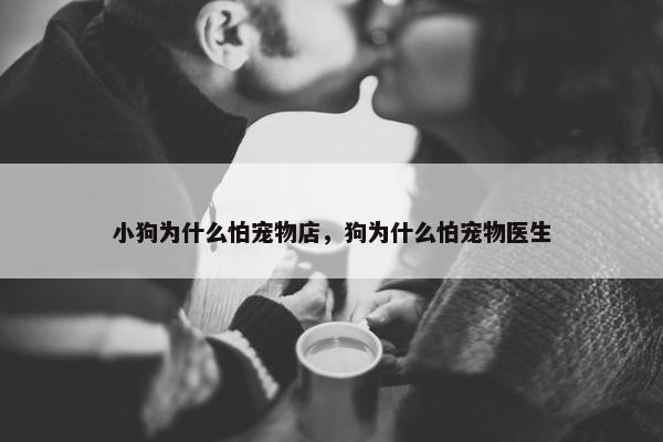 小狗为什么怕宠物店，狗为什么怕宠物医生