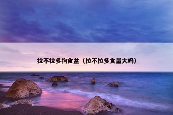 拉不拉多狗食盆（拉不拉多食量大吗）