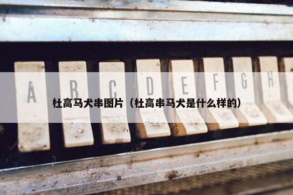 杜高马犬串图片（杜高串马犬是什么样的）