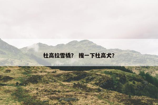 杜高拉雪橇？ 搜一下杜高犬？