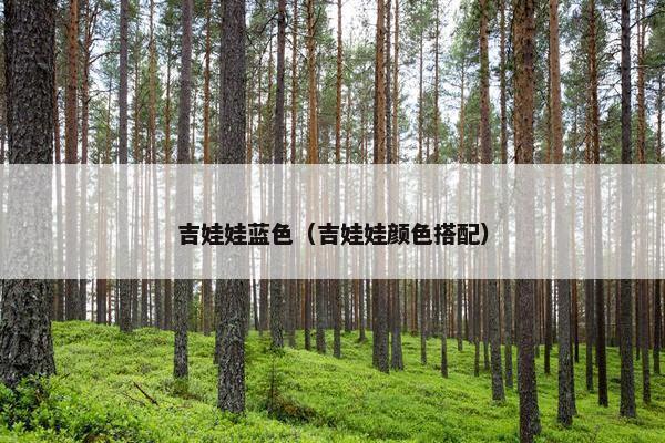 吉娃娃蓝色（吉娃娃颜色搭配）