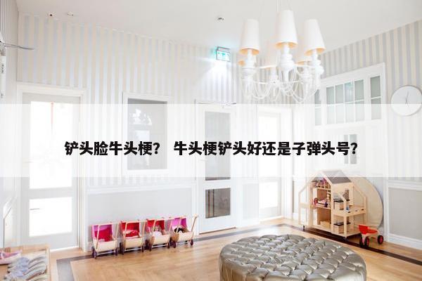铲头脸牛头梗? 牛头梗铲头好还是子弹头号? 铲头脸牛头梗? 牛头梗铲头好还是子弹头号?