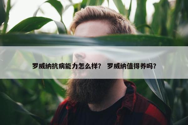 罗威纳抗病能力怎么样？ 罗威纳值得养吗？