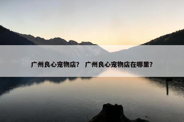 广州良心宠物店？ 广州良心宠物店在哪里？