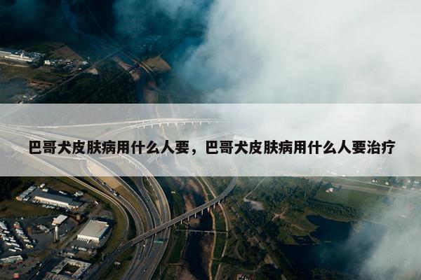 巴哥犬皮肤病用什么人要，巴哥犬皮肤病用什么人要治疗