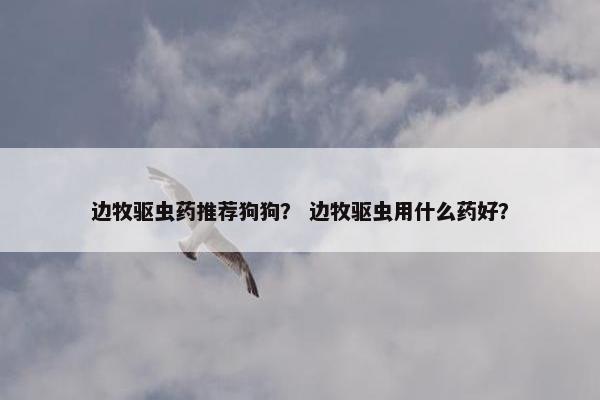 边牧驱虫药推荐狗狗？ 边牧驱虫用什么药好？