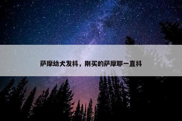 萨摩幼犬发抖，刚买的萨摩耶一直抖