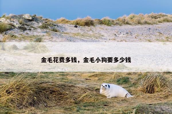 金毛花费多钱，金毛小狗要多少钱