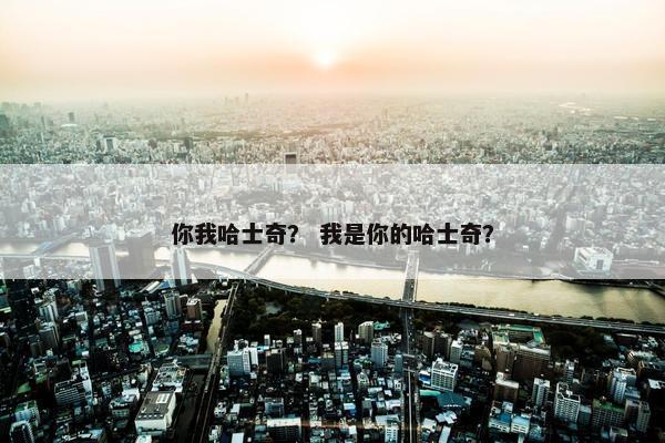 你我哈士奇？ 我是你的哈士奇？
