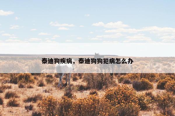 泰迪狗疾病，泰迪狗狗犯病怎么办