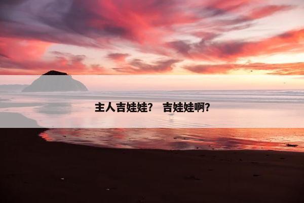 主人吉娃娃？ 吉娃娃啊？