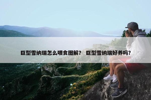 巨型雪纳瑞怎么喂食图解？ 巨型雪纳瑞好养吗？