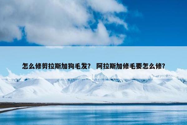 怎么修剪拉斯加狗毛发？ 阿拉斯加修毛要怎么修？