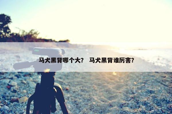 马犬黑背哪个大？ 马犬黑背谁厉害？