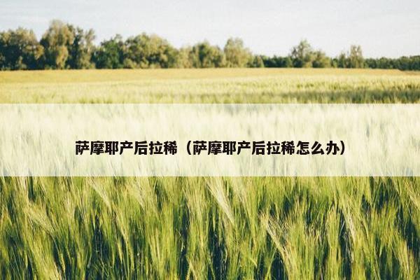 萨摩耶产后拉稀（萨摩耶产后拉稀怎么办）