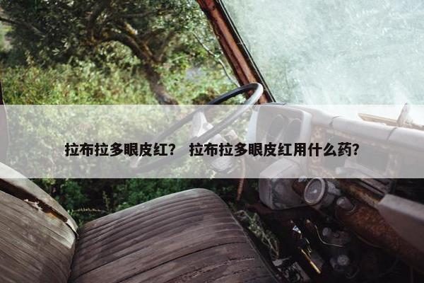 拉布拉多眼皮红？ 拉布拉多眼皮红用什么药？