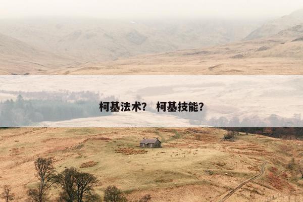 柯基法术？ 柯基技能？