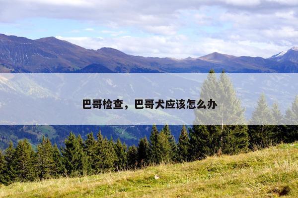 巴哥检查，巴哥犬应该怎么办