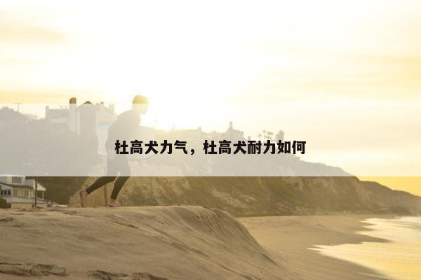 杜高犬力气，杜高犬耐力如何