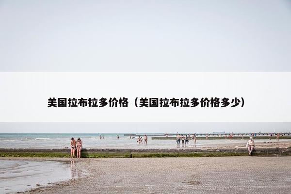 美国拉布拉多价格（美国拉布拉多价格多少）