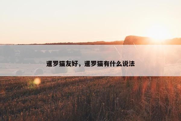 暹罗猫友好，暹罗猫有什么说法