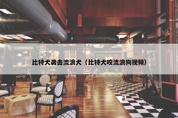 比特犬袭击流浪犬（比特犬咬流浪狗视频）