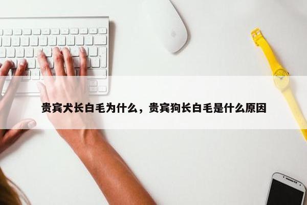 贵宾犬长白毛为什么，贵宾狗长白毛是什么原因