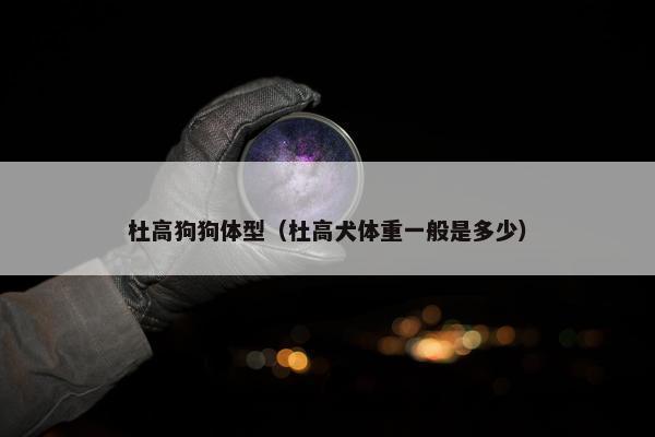 杜高狗狗体型（杜高犬体重一般是多少）