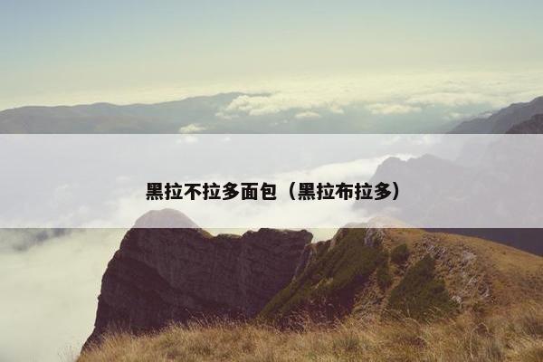 黑拉不拉多面包（黑拉布拉多）