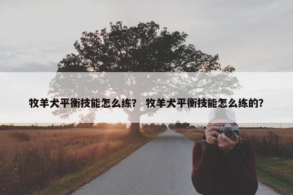 牧羊犬平衡技能怎么练？ 牧羊犬平衡技能怎么练的？