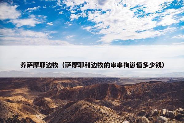 养萨摩耶边牧（萨摩耶和边牧的串串狗崽值多少钱）