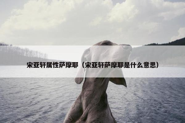宋亚轩属性萨摩耶（宋亚轩萨摩耶是什么意思）
