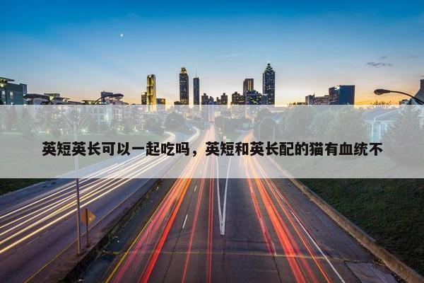 英短英长可以一起吃吗，英短和英长配的猫有血统不