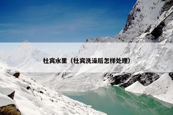 杜宾水里（杜宾洗澡后怎样处理）
