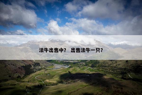 法牛出售中？ 出售法牛一只？