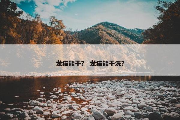 龙猫能干？ 龙猫能干洗？