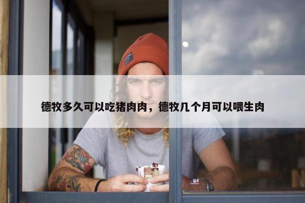 德牧多久可以吃猪肉肉，德牧几个月可以喂生肉