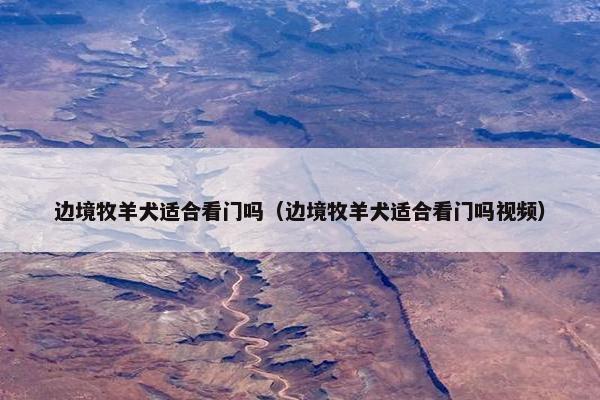边境牧羊犬适合看门吗（边境牧羊犬适合看门吗视频）