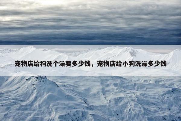 宠物店给狗洗个澡要多少钱，宠物店给小狗洗澡多少钱