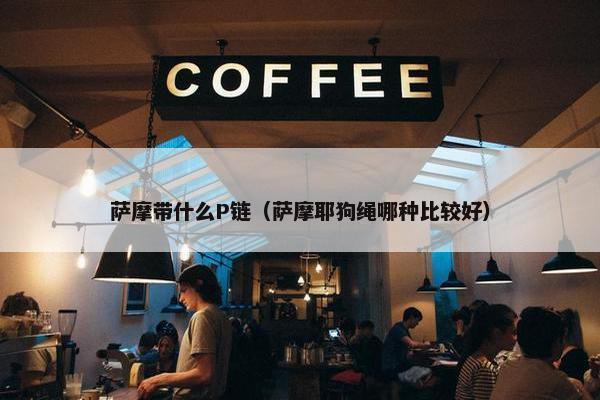 萨摩带什么P链（萨摩耶狗绳哪种比较好）