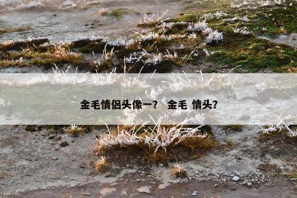 金毛情侣头像一？ 金毛 情头？