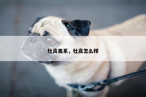 杜高美系，杜高怎么样