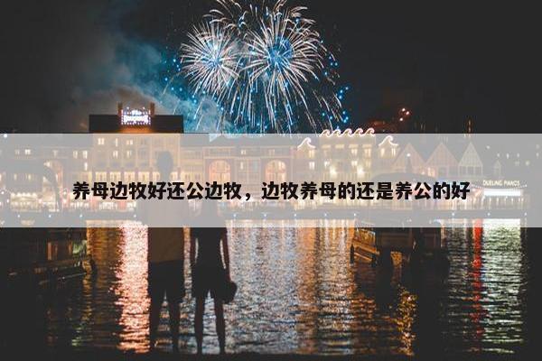 养母边牧好还公边牧，边牧养母的还是养公的好