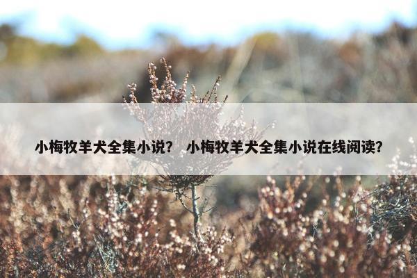 小梅牧羊犬全集小说？ 小梅牧羊犬全集小说在线阅读？