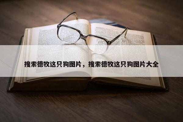 搜索德牧这只狗图片，搜索德牧这只狗图片大全