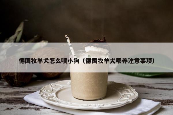 德国牧羊犬怎么喂小狗（德国牧羊犬喂养注意事项）
