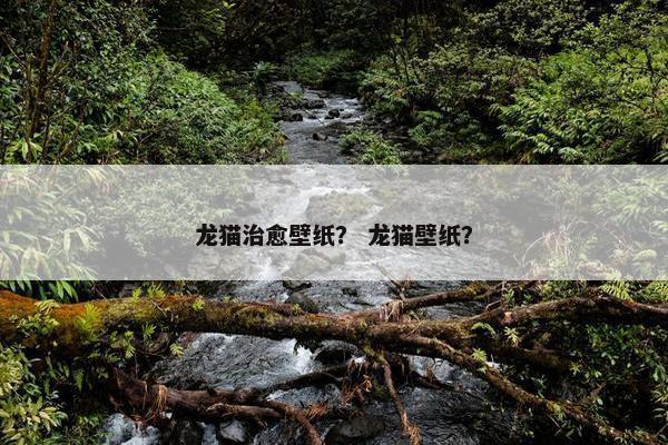 龙猫治愈壁纸？ 龙猫壁纸？